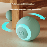 Cat Teasing Ball - petspacestores