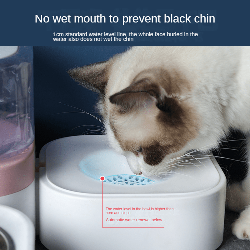 Water Dispenser & Food Bowl - petspacestores