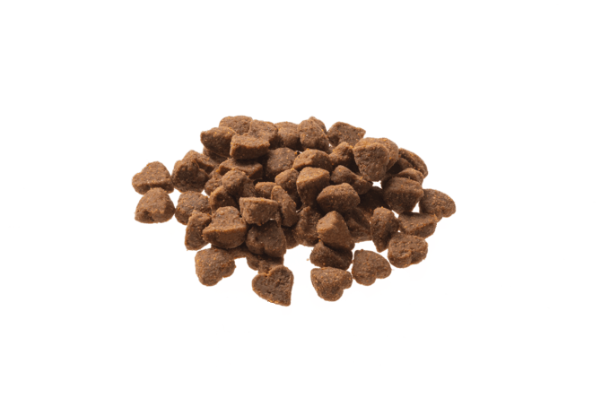 GranataPet Cat - Dry Food DeliCatessen Kitten/ Junior Poultry - petspacestores