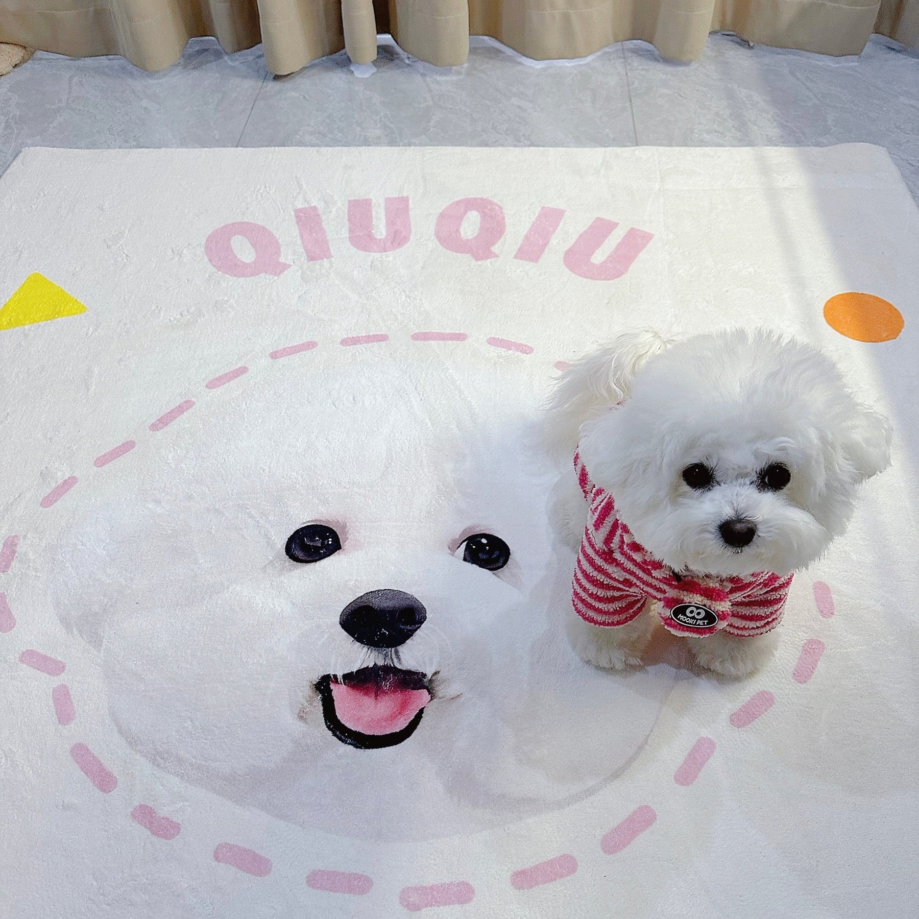 Personalized Custom Pet Portrait Rug - petspacestores