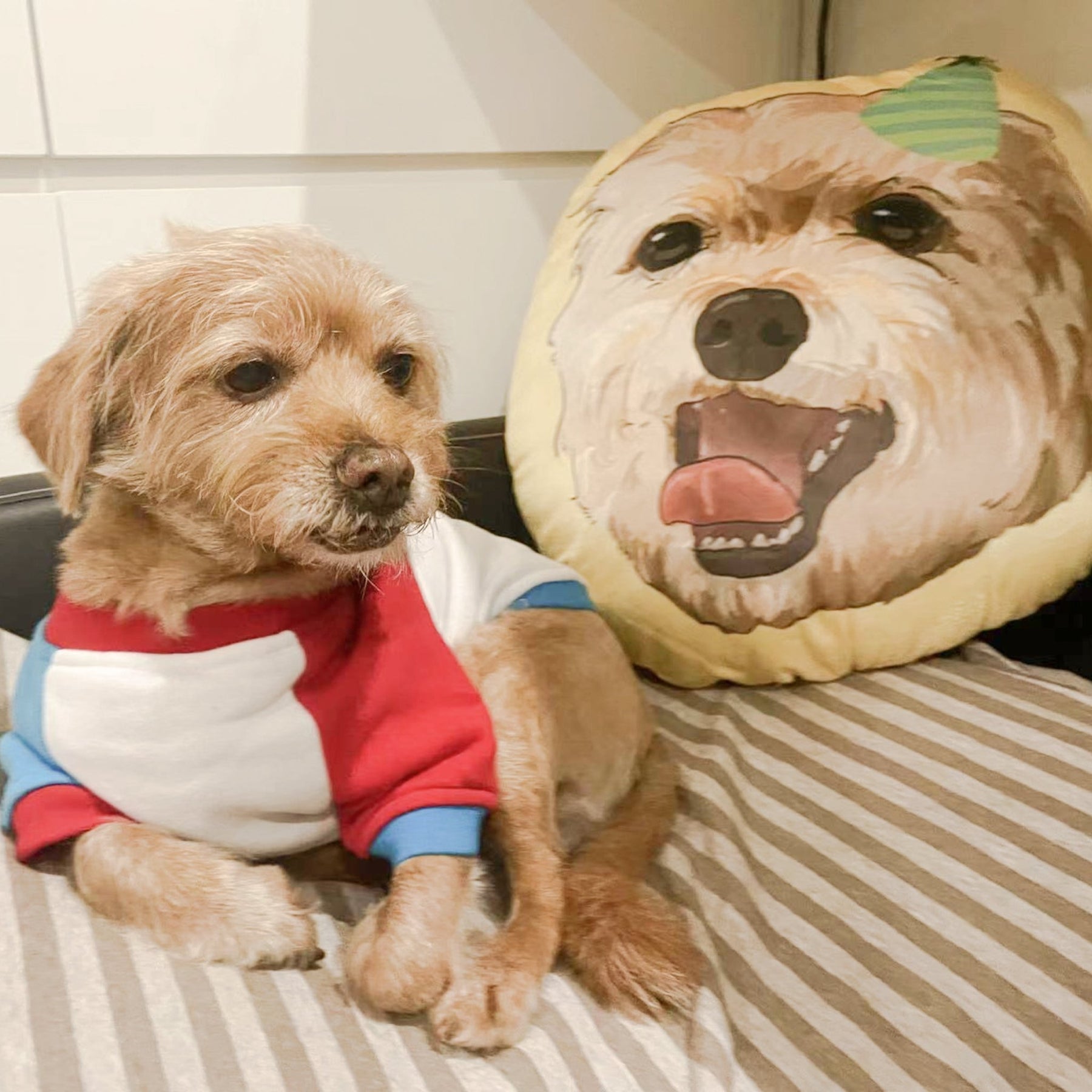 Personalized Customized Pet Portrait Cushion - petspacestores