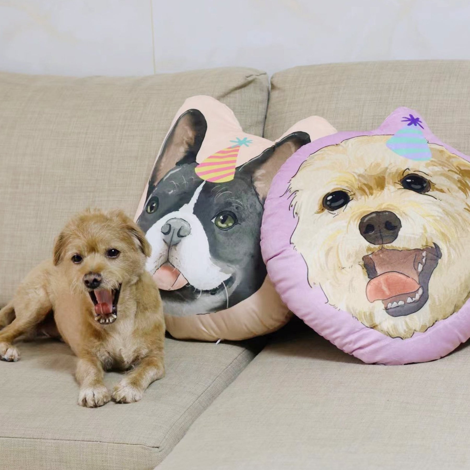 Personalized Customized Pet Portrait Cushion - petspacestores