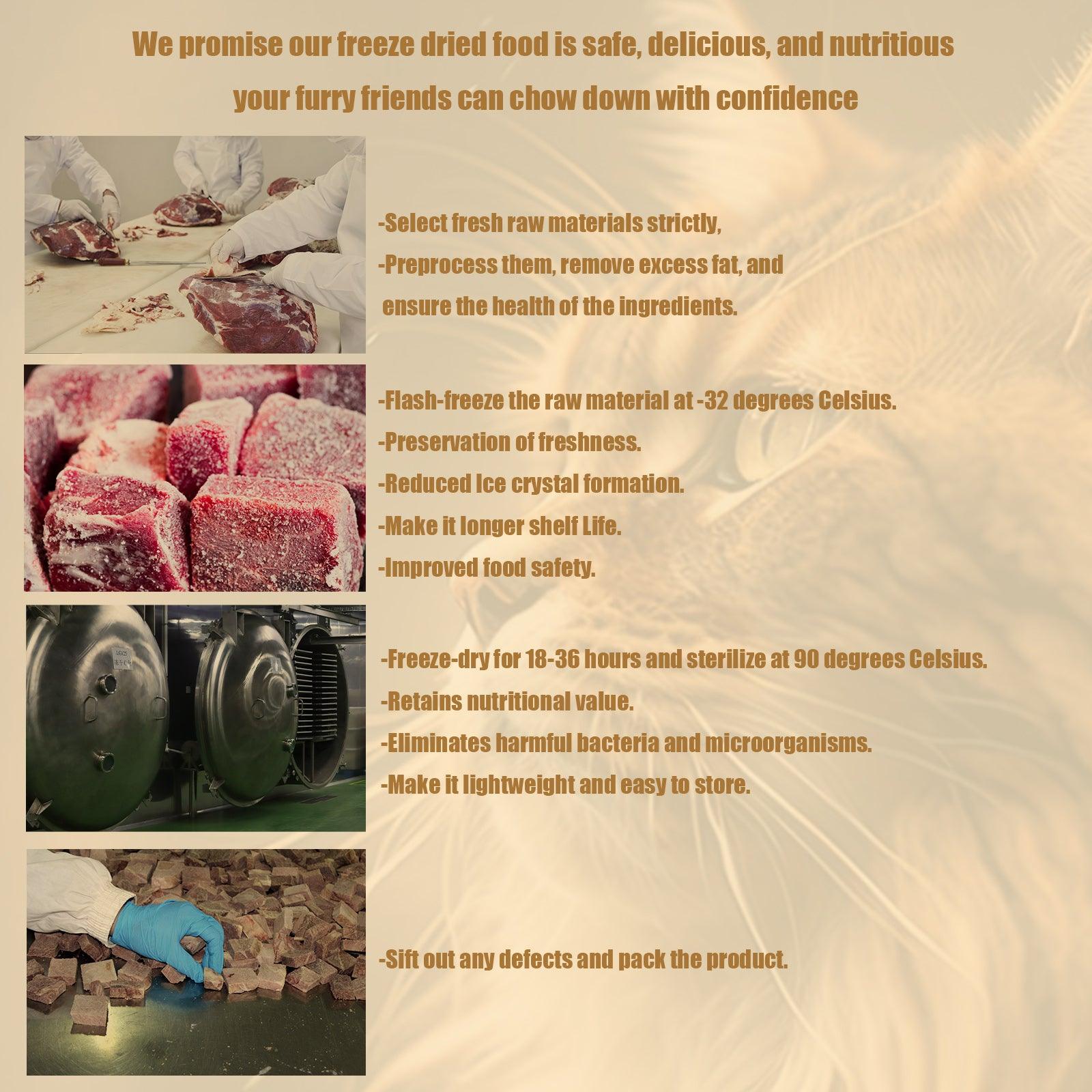 RANOVA Freeze-Dried Beef (CAT) - petspacestores