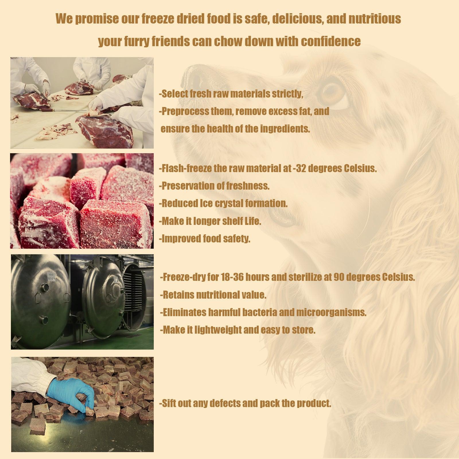 RANOVA Freeze-Dried Duck (DOG) - petspacestores
