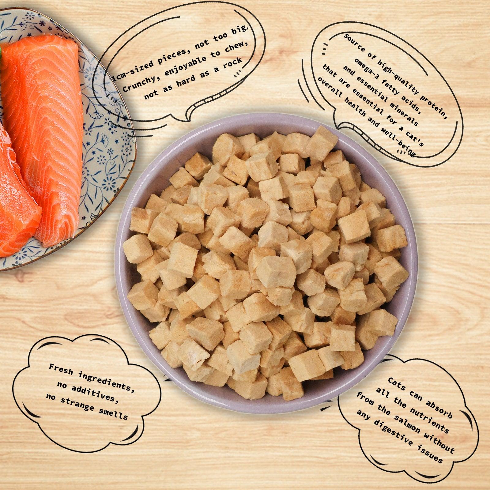 RANOVA Freeze-Dried Salmon (CAT) - petspacestores