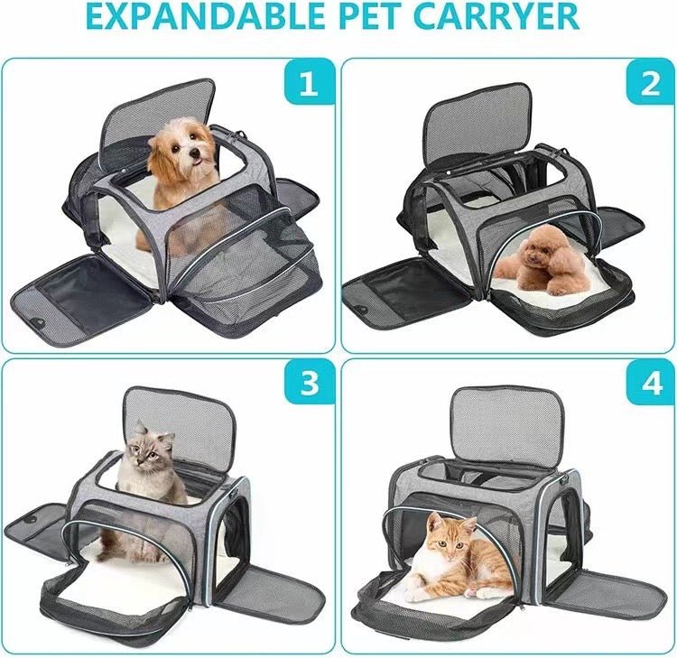 Airline-Approved Pet Carrier Backpack - petspacestores