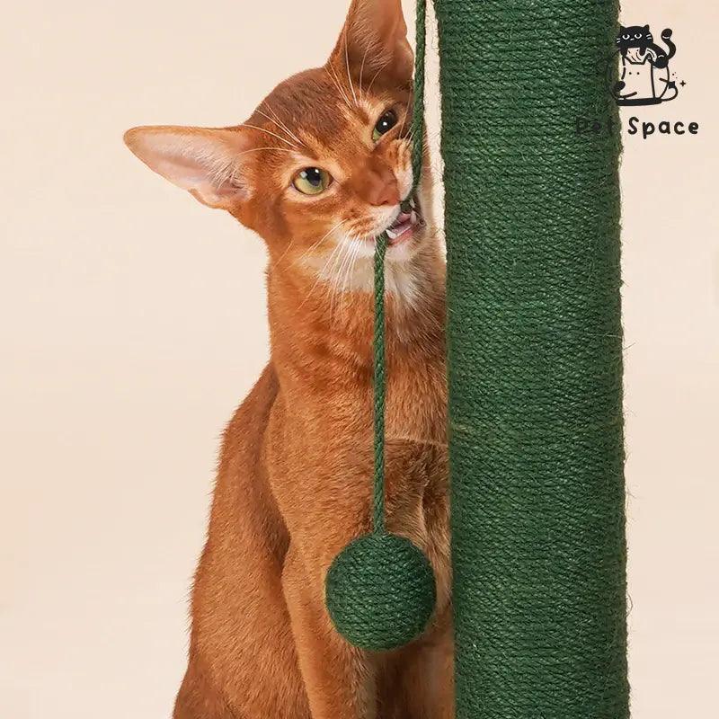 Cactus Scratch Post - petspacestores