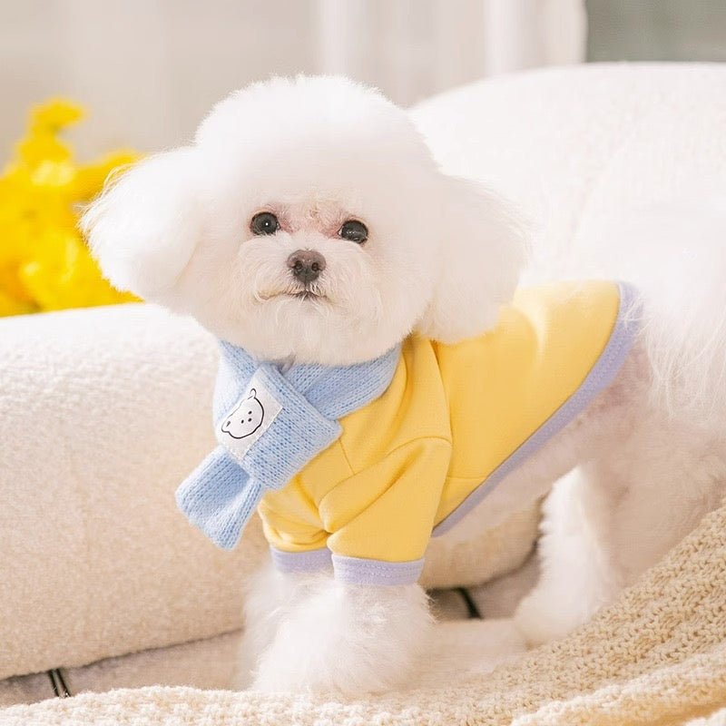 Macaron Bottom Shirt with Scarf - petspacestores