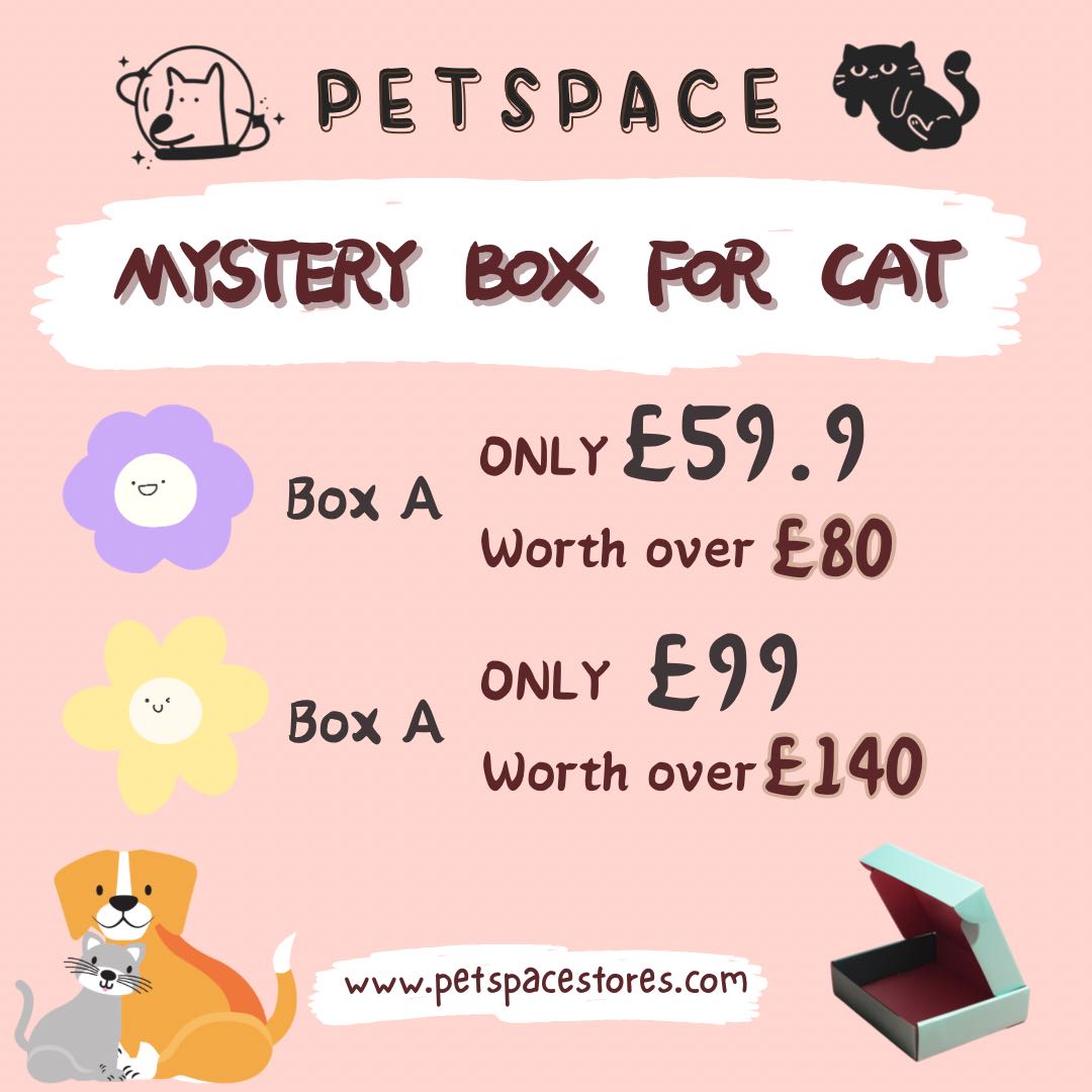 Mystery Box🎁 - petspacestores