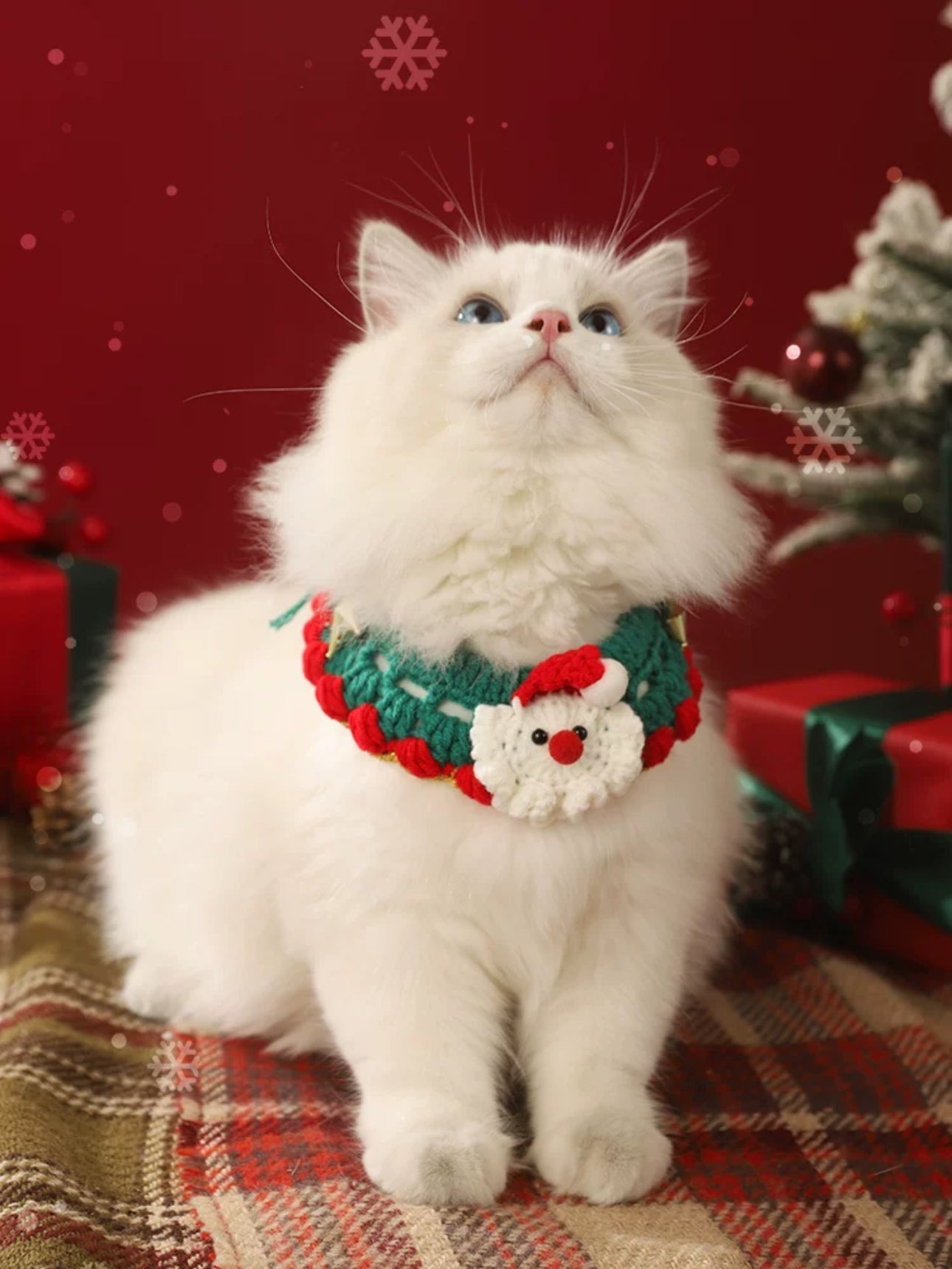 Pentagonal Heart Father Christmas - petspacestores