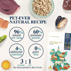 Pet-Ever FREEZE-DRIED RAW BEEF RECIPE FOR CAT - petspacestores