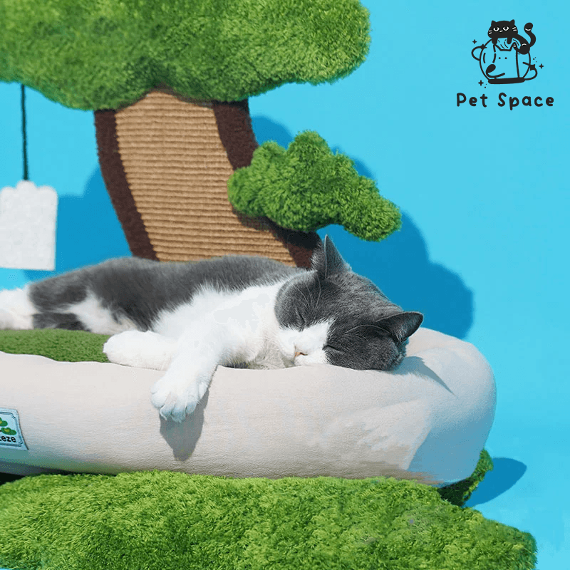 Relax Plant Bed (Under the tree) - petspacestores