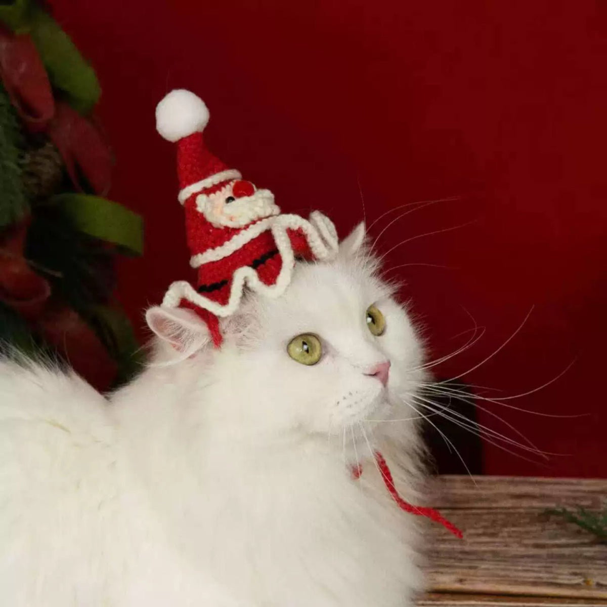 Santa Claus Hat - petspacestores